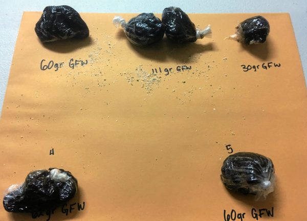 black tar heroin